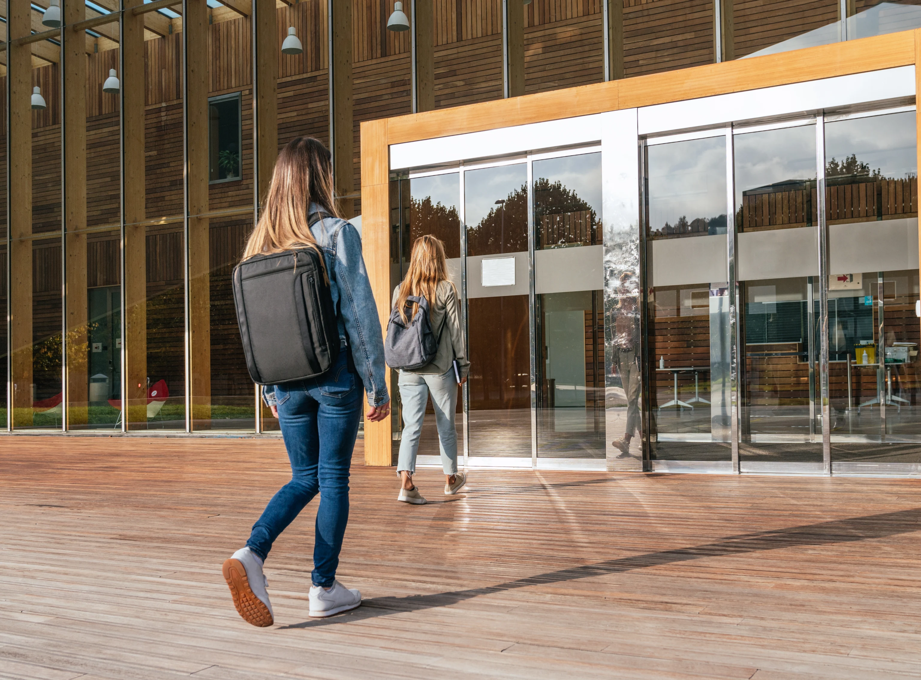 Higher Education
