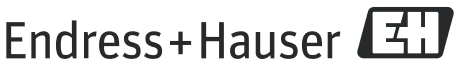 Endress+Hauser